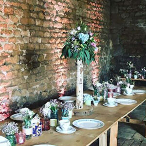 Birch Stump for Tables Including Flowers