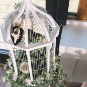 Bird Cage and Stand